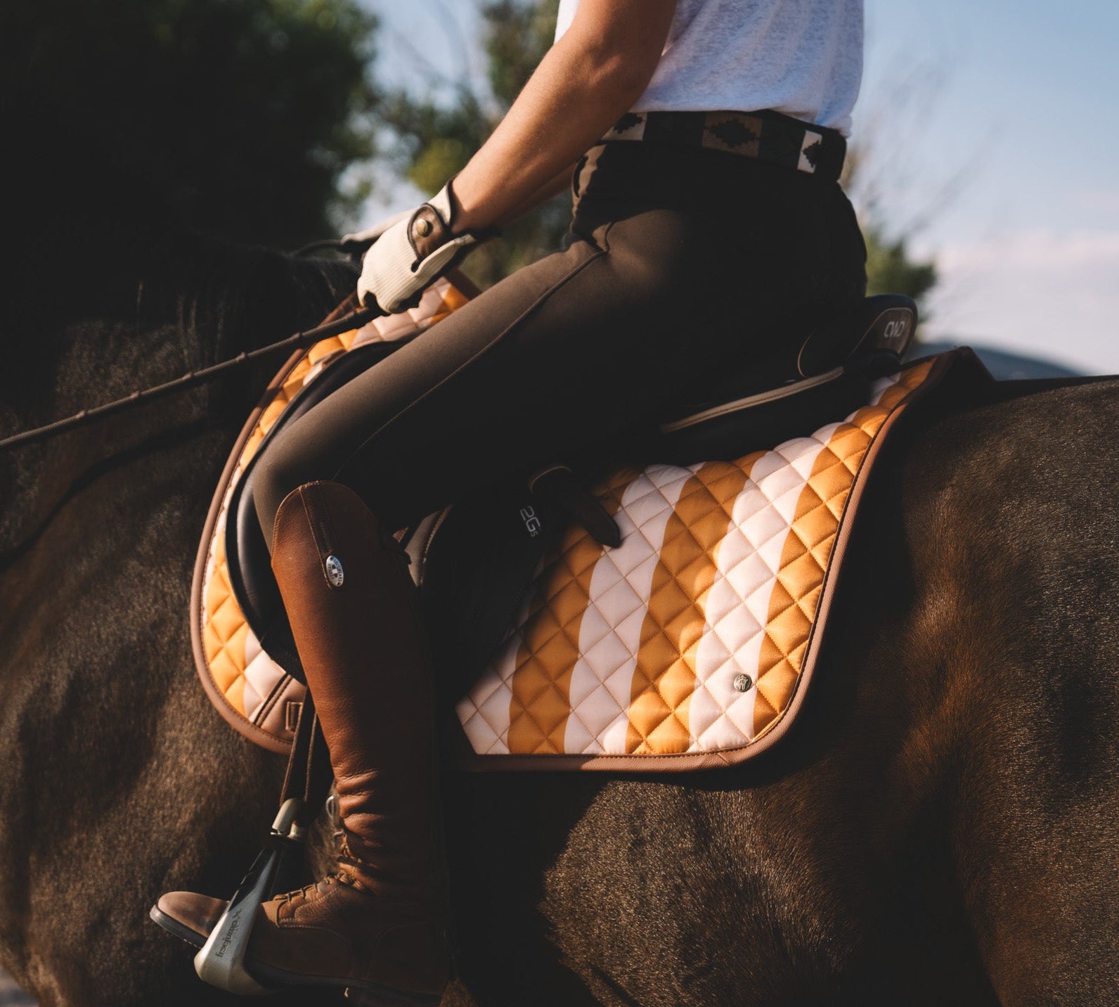 Striped equestrian jumper pad Sixteen Cypress 